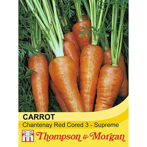 Carrot Chantenay Red Cored 3 Supreme Seeds