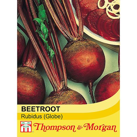 Beetroot Detroit 6 Rubidus Seeds