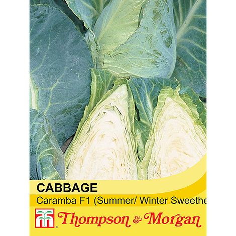 Cabbage Caramba F1 Hybrid Seeds