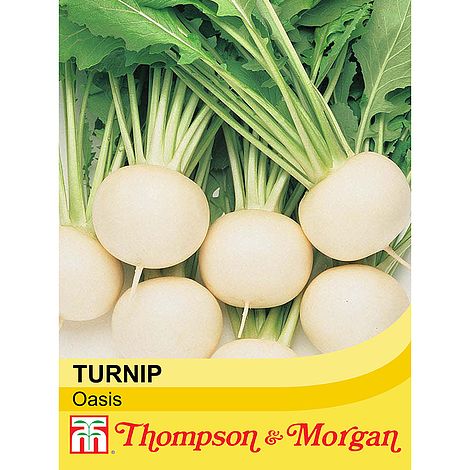 Turnip Oasis Seeds