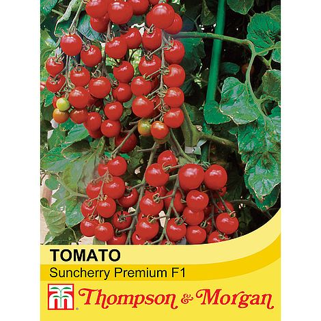 Tomato Suncherry Premium F1 Hybrid Seeds