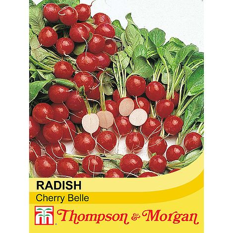 Radish Cherry Belle Seeds