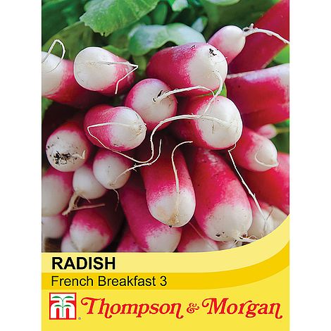 Radish French Breakfast 3 Seeds | Cornwall Garden Shop | UK