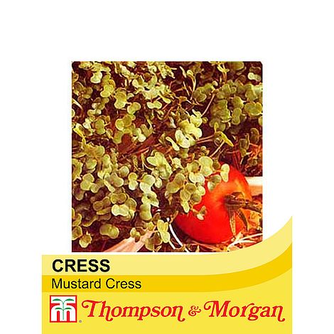 Mustard Cress Herb Seeds