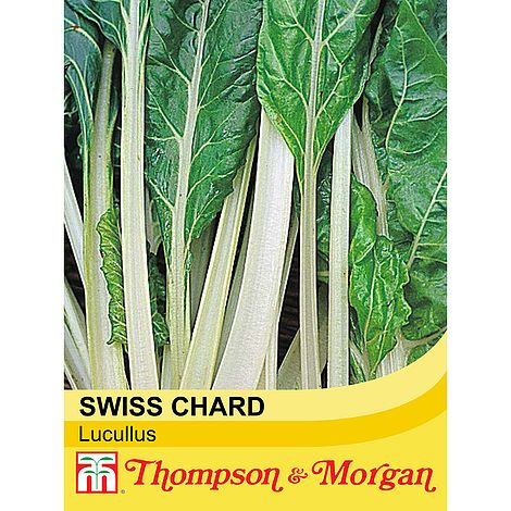 Swiss Chard Lucullus Seeds