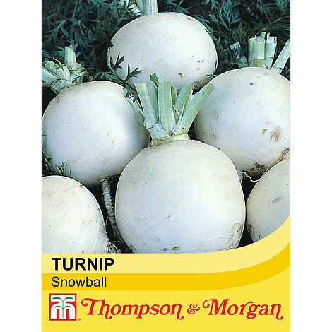 Turnip Snowball Seeds