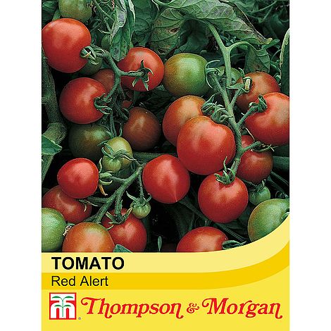 Tomato Red Alert Bush Seeds