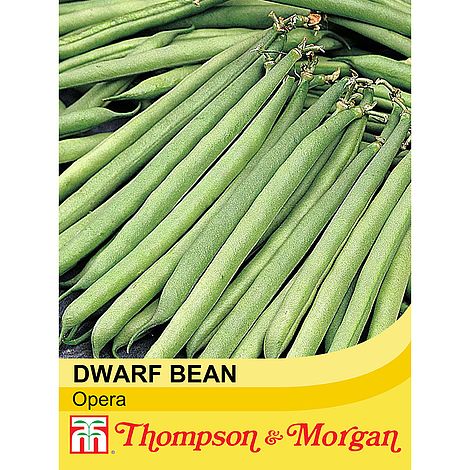 Dwarf Bean Opera Seeds