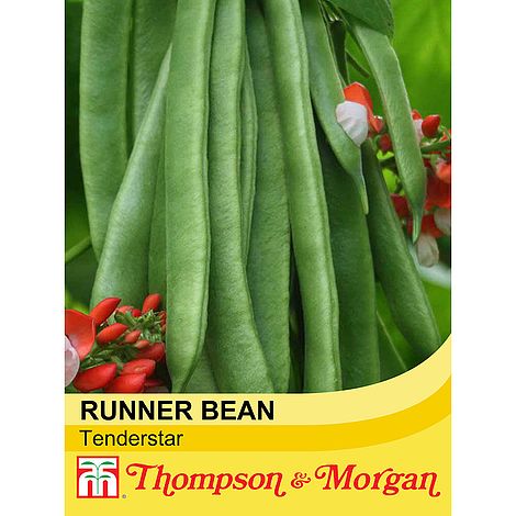Runner Bean Tenderstar Seeds