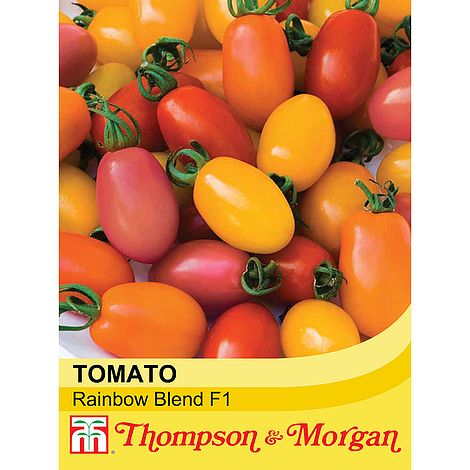 Tomato Rainbow Blend F1 Hybrid Seeds