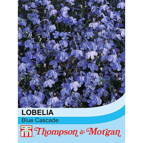 Lobelia (Trailing) Blue Cascade Flower Seeds