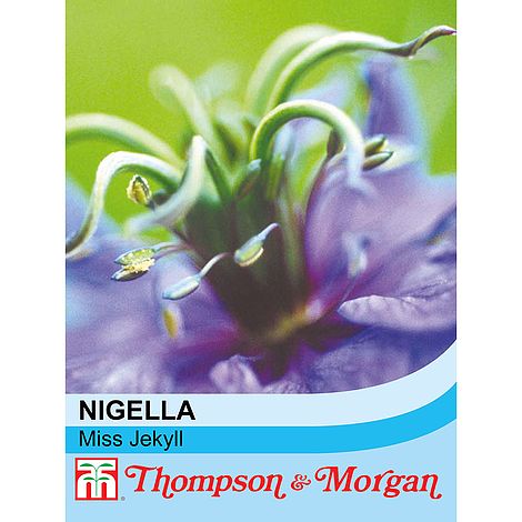 Nigella Miss Jekyll Flower Seeds