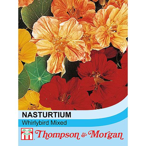 Nasturtium Whirlybird Mixed Flower Seeds