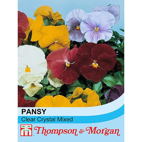 Pansy Clear Crystal Mixed Flower Seeds