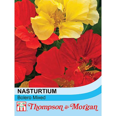Nasturtium Bolero Mixed Flower Seeds