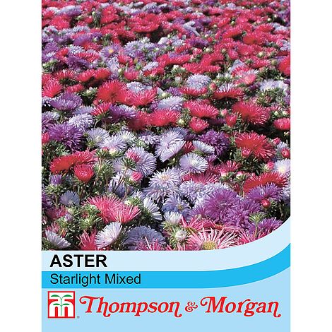 Aster Starlight Mixed Flower Seeds
