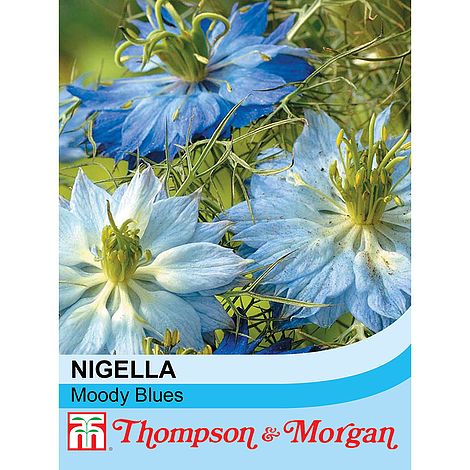 Nigella Moody Blues Flower Seeds