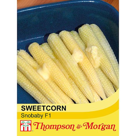 Sweetcorn Snobaby Seeds