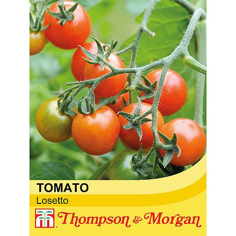 Tomato Losetto F1 Hybrid Seeds