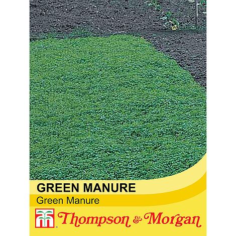 Green Manure Vegetable Seeds