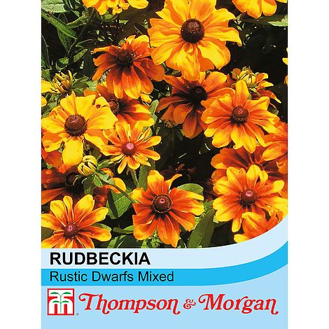 Rudbeckia Rustic Dwarfs Mixed Flower Seeds