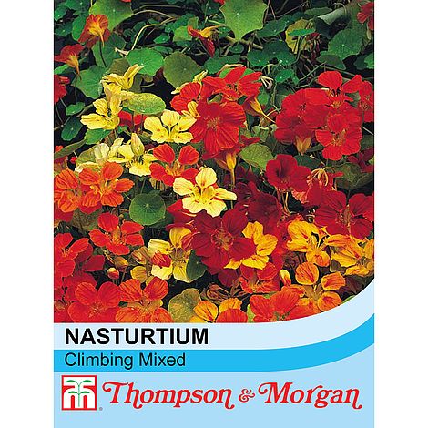 Nasturtium Climbing Mixed Flower Seeds