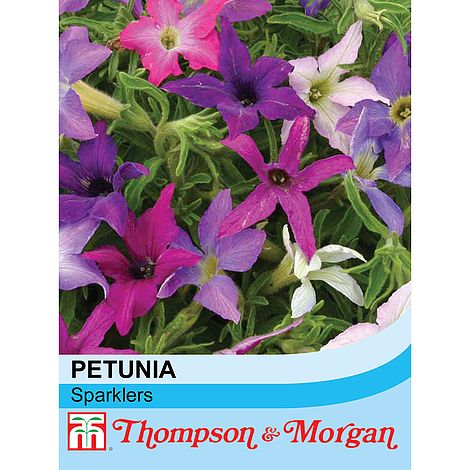 Petunia Sparklers Flower Seeds
