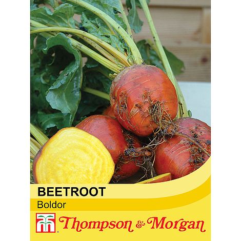 Beetroot Boldor Vegetable Seeds