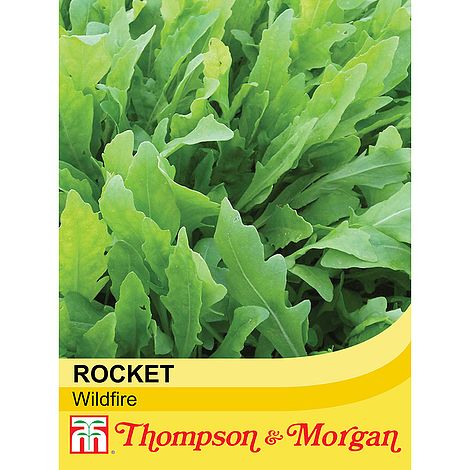 Rocket Wildfire Herb Seeds