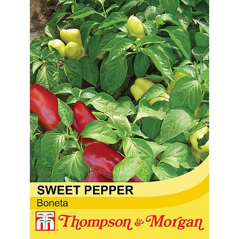 Sweet Pepper Boneta Seeds