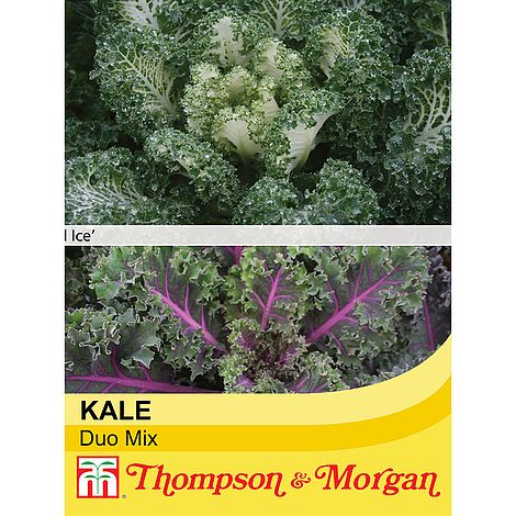 Kale Duo Mix Seeds