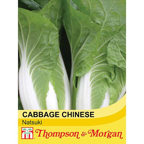 Cabbage Chinese Natsuki F1 Hybrid Seeds