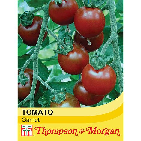 Tomato Garnet Seeds