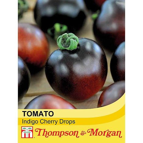 Tomato Indigo Cherry Drops Seeds