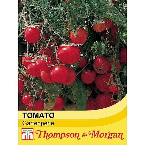 Tomato Gartenperle Seeds