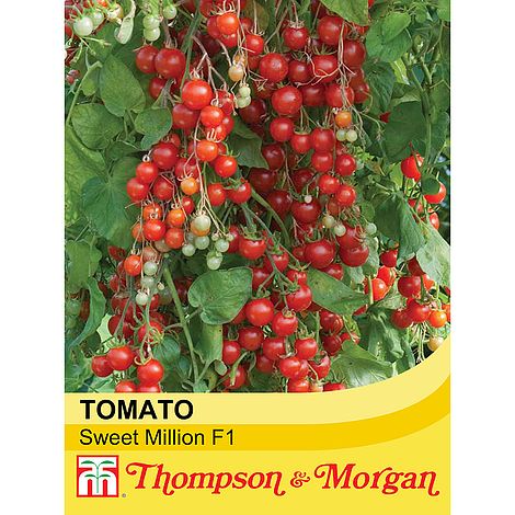 Tomato Sweet Million F1 Hybrid Seeds
