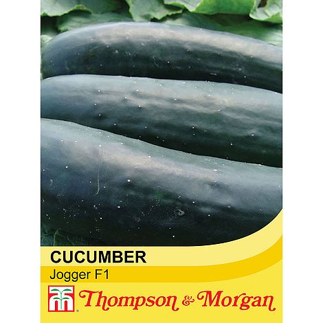 Cucumber Jogger F1 Hybrid Seeds