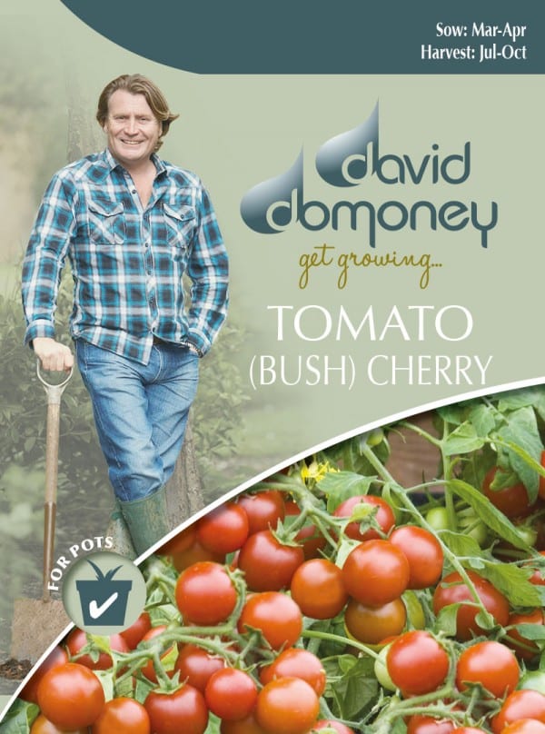 Tomato Cherry Bush Seeds David Domoney