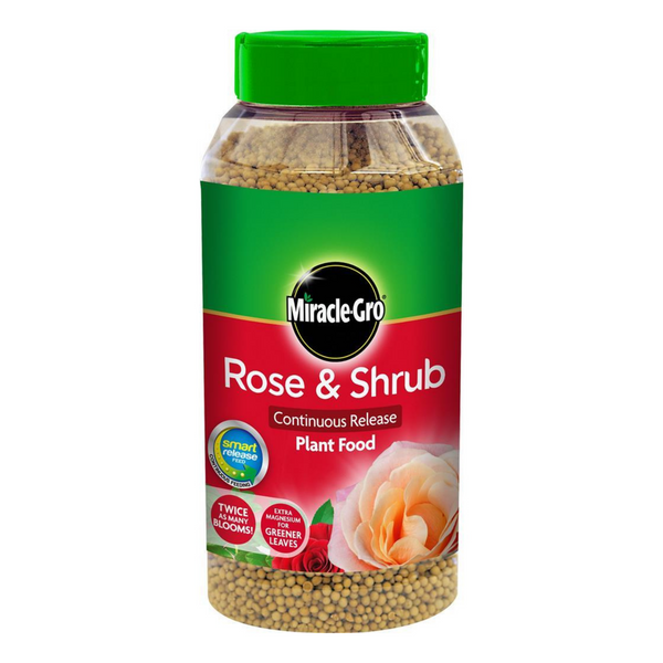 Miracle-Gro Rose and Shrub Slow Release Plant Food | Cornwall Garden Shop | UK