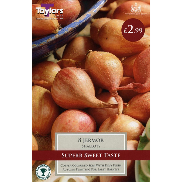 Shallot Jermor | Cornwall Garden Shop | UK