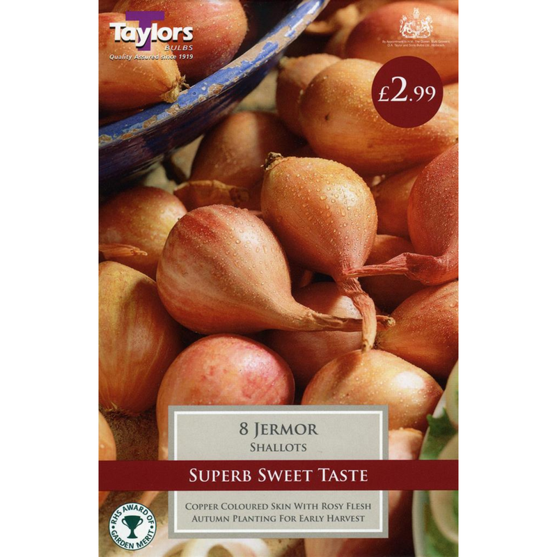 Shallot Jermor | Cornwall Garden Shop | UK