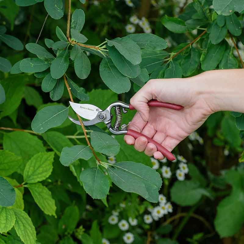 Secateurs Bypass Garden Life