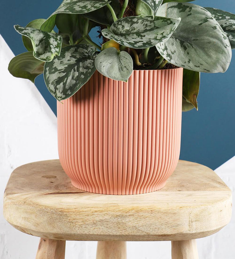Vibes 14cm Indoor Pot Delicate Pink