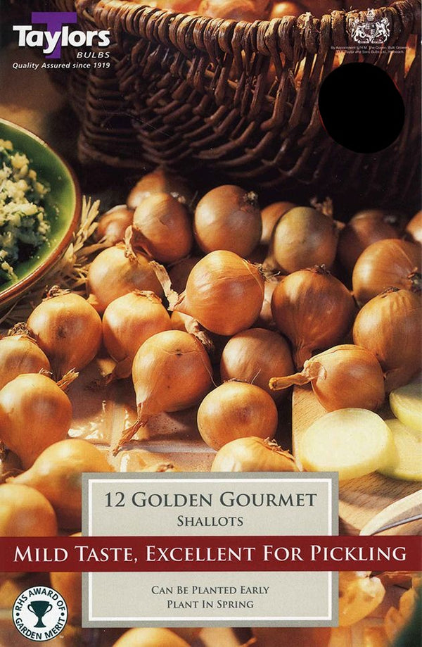 Shallot Sets Golden Gourmet (12)