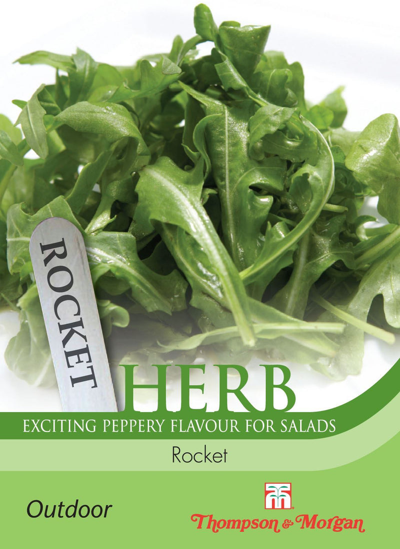 Rocket Herb Seeds