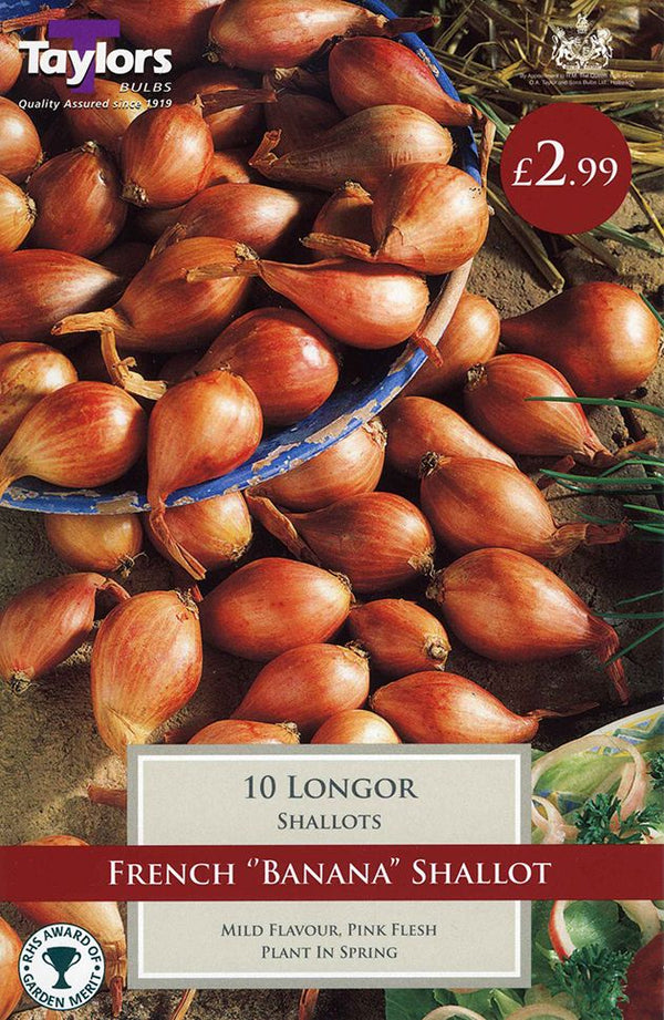 Shallot Sets Longor (10)