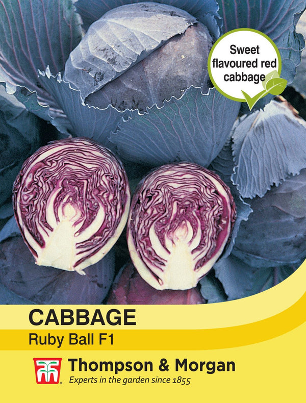 Cabbage Ruby Ball F1 Seeds