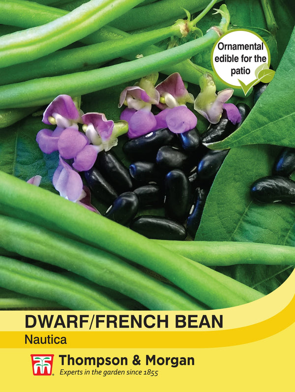 Dwarf Bean Nautica Vegetable Seeds