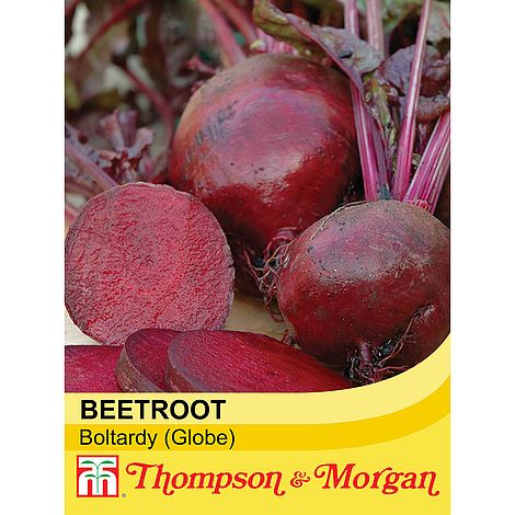 Beetroot Boltardy (Globe) | Cornwall Garden Shop | UK
