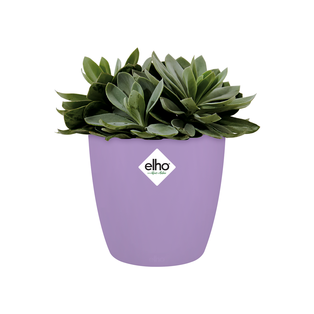 Brussels Round Mini 10.5cm New Violet